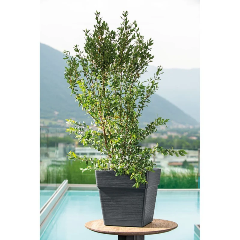 VASO QUADRO SAVE R 35X35CM ANTRACITE