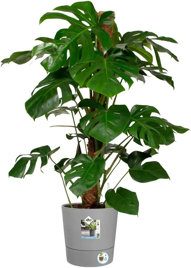 VASO GREENSENSE AQUA CARE ROUND 30CM LIGHT CONCRETE GRIGIO