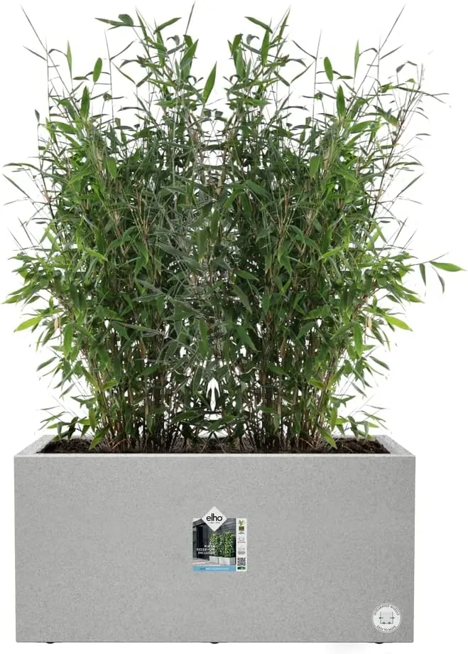 VASO VIVO NEXT LONG 80CM LIVING CONCRETE GRIGIO CHIARO