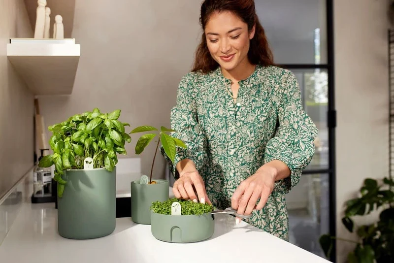 VASO DA COLTURA MAGIC MICROGREENS LEAF GREEN