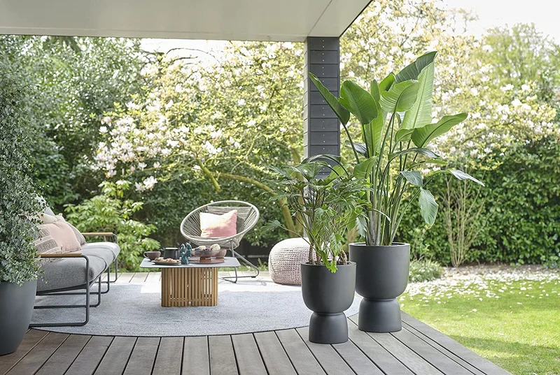 VASO PURE COUPE 41 BLACK