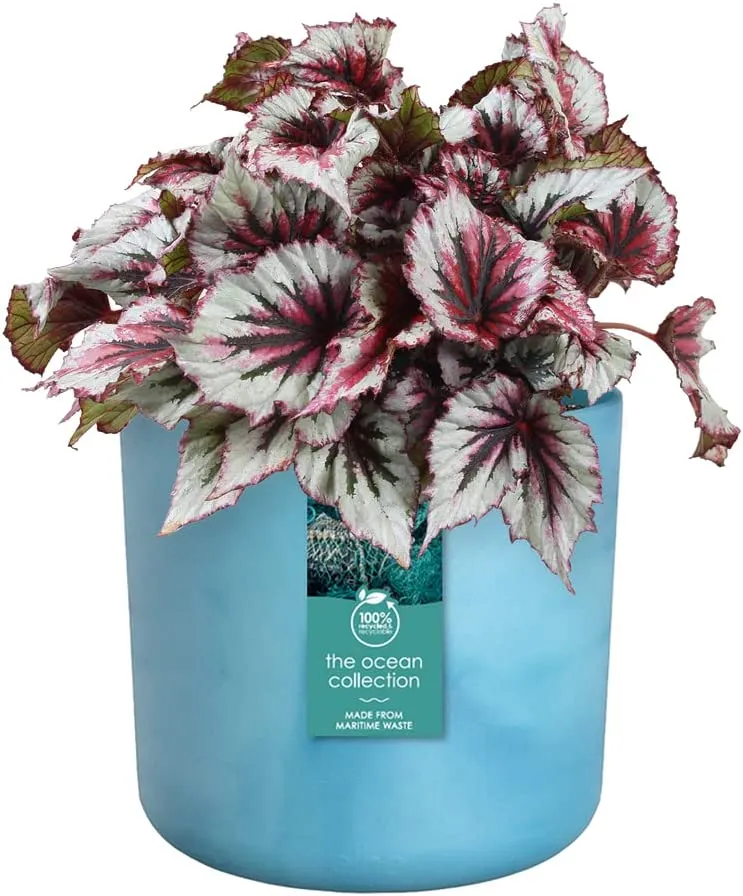 VASO THE OCEAN COLLECTION ROUND 16CM BLU ATLANTICO