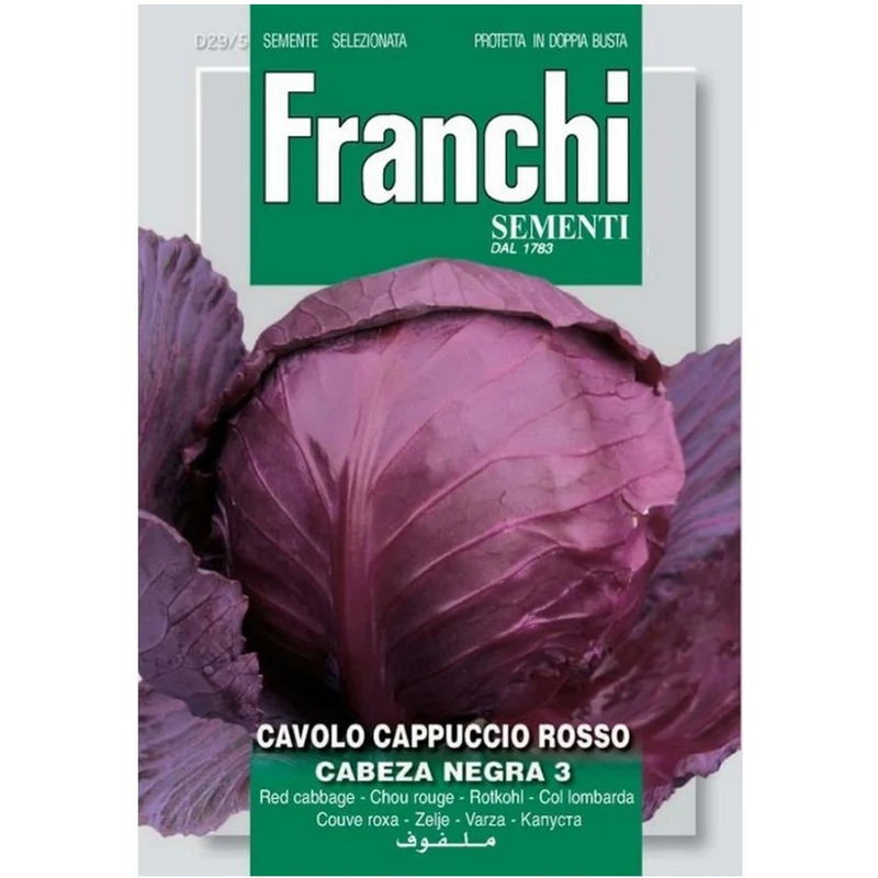 SEMI DI CAVOLO CAPPUCCIO ROSSO TESTA NERA 3
