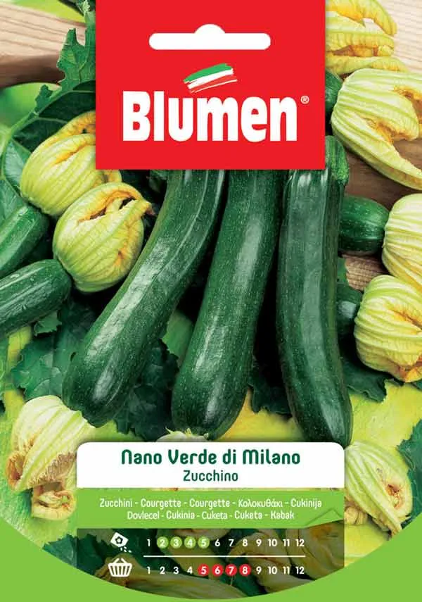 SEMI ZUCCHINO NANO VERDE DI MILANO