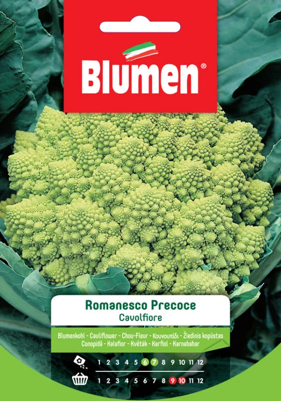 SEMI CAVOLFIORE ROMANESCO PRECOCE