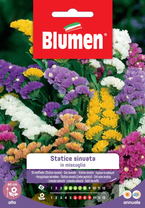 SEMI STATICE SINUATA MIX
