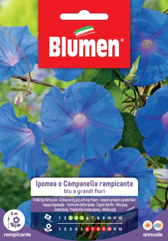 SEMI IPOMEA RAMPICANTE BLU