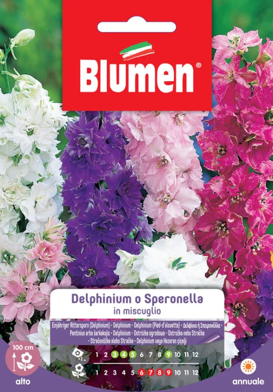 SEMI DELPHINIUM O SPERONELLA MIX