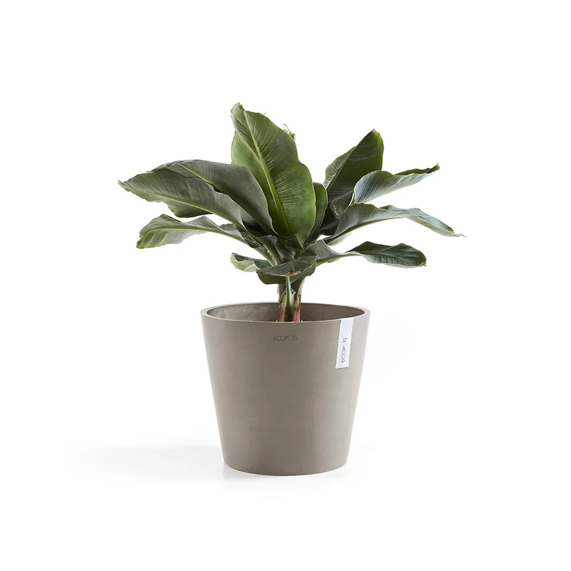 VASO AMSTERDAM 40x36CM TALPA