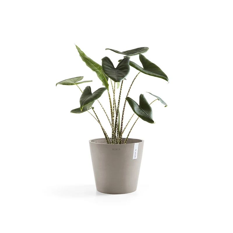VASO AMSTERDAM 30x26,5CM TALPA