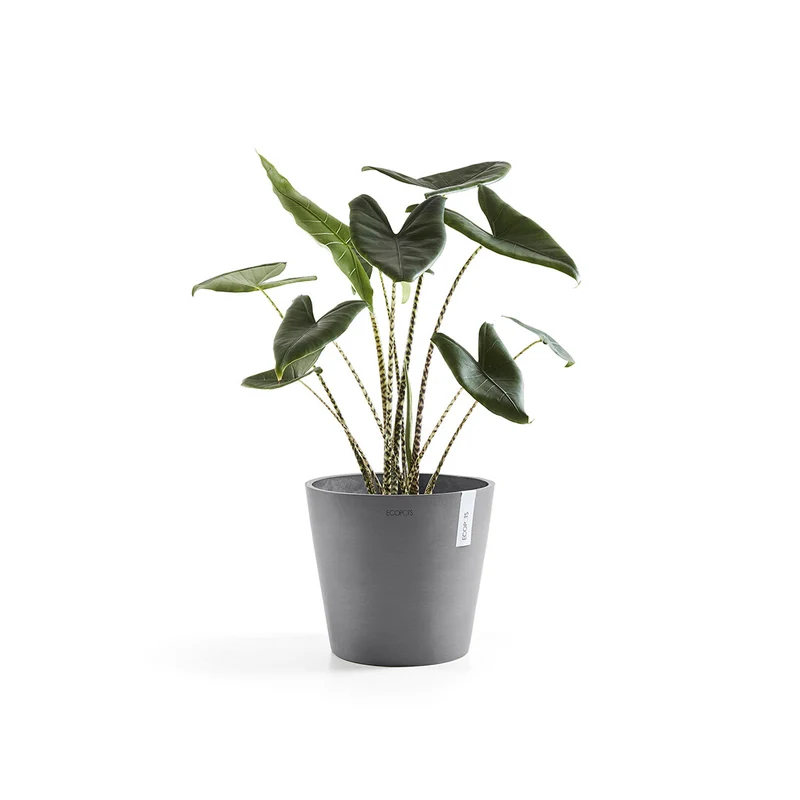 VASO AMSTERDAM 30x26,5CM GRIGIO