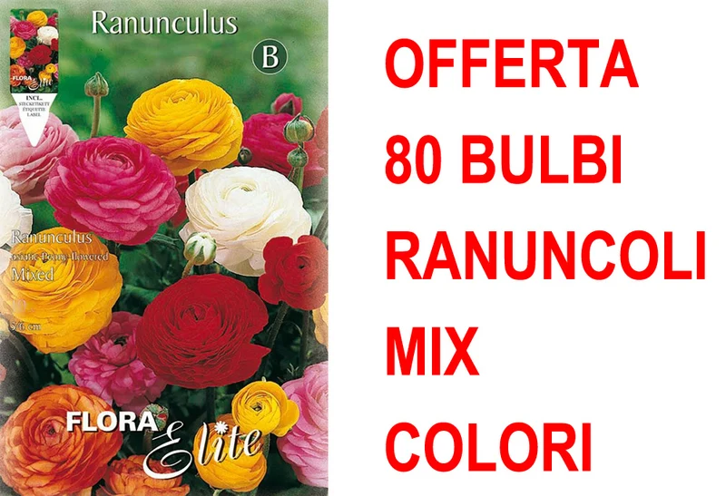 OFFERTA 80 BULBI RANUNCULUS ASIATIC MIXED