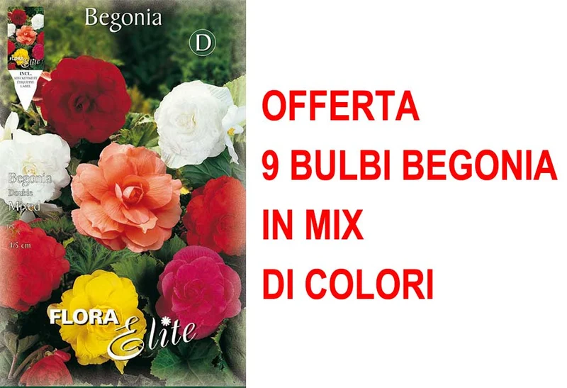 OFFERTA 9 BULBI BEGONIA DOUBLE MIX