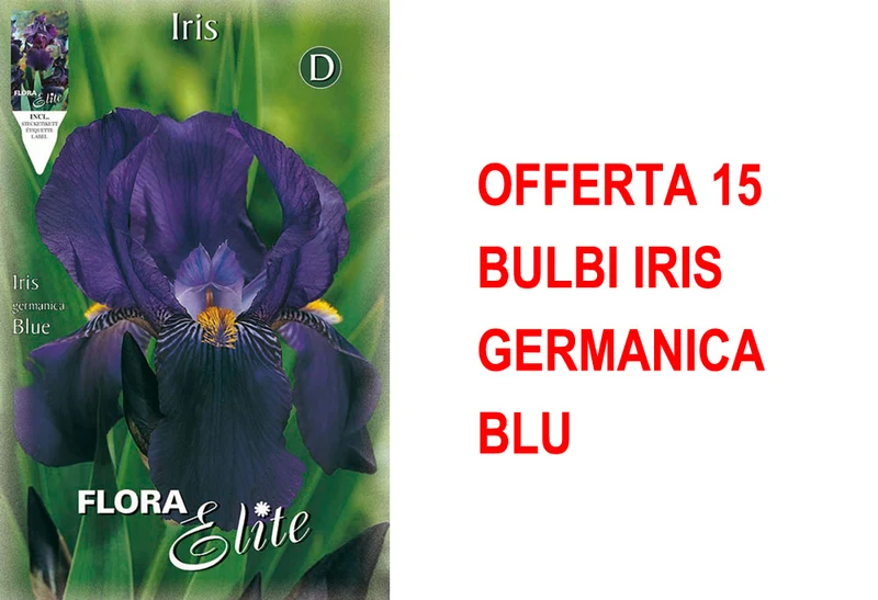 OFFERTA 15 BULBI IRIS GERMANICA BLU