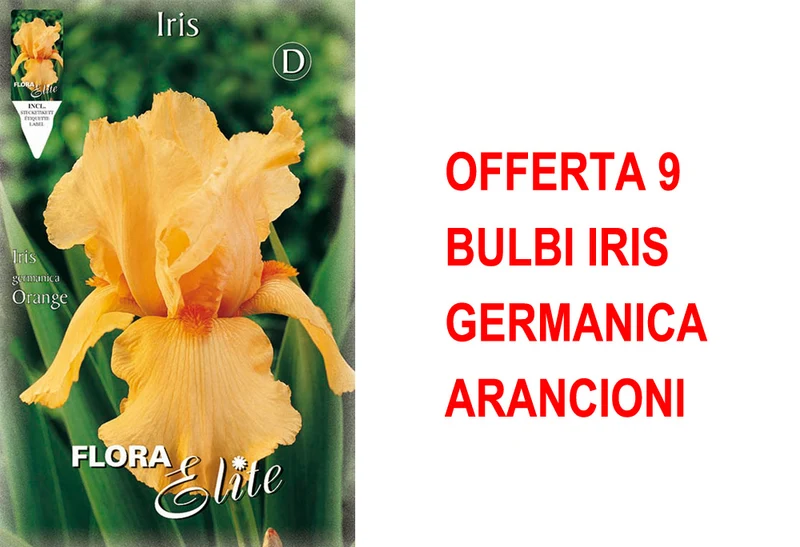 OFFERTA 9 BULBI IRIS GERMANICA ARANCIONI