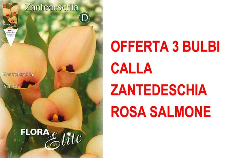 OFFERTA 3 BULBI CALLA ZANTEDESCHIA ROSA SALMONE