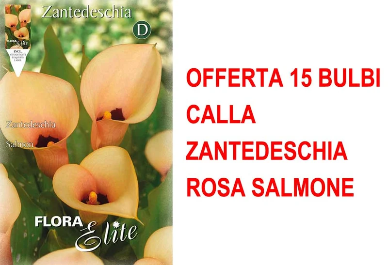 OFFERTA 15 BULBI CALLA ZANTEDESCHIA ROSA SALMONE