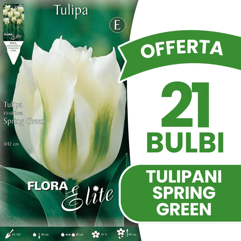 OFFERTA 21 BULBI TULIPANO VIRIDIFLORA SPRING GREEN