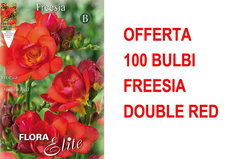 OFFERTA 100 BULBI FREESIA DOUBLE RED