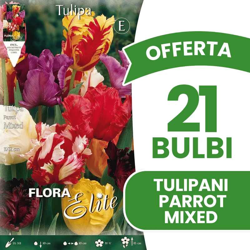 OFFERTA 21 BULBI TULIPANO PARROT MIX DI COLORI