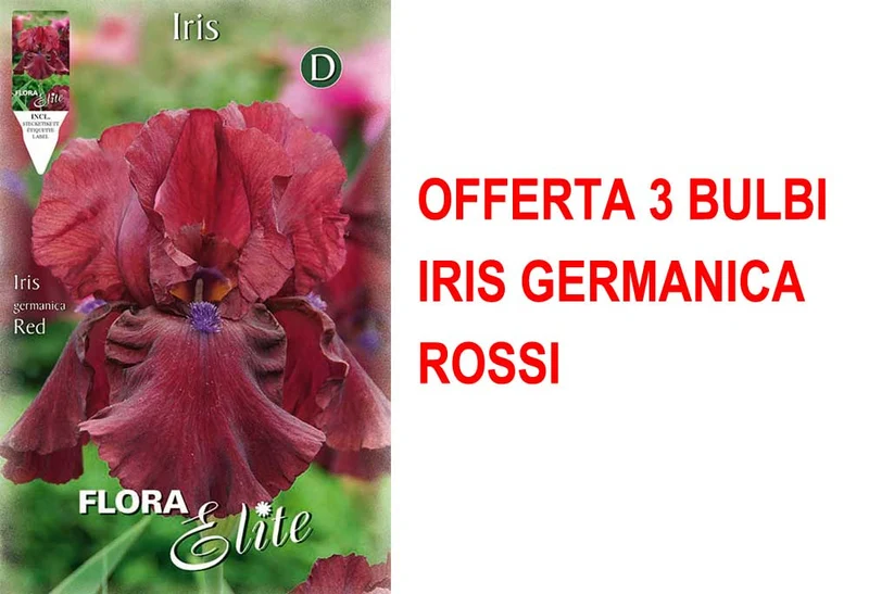 OFFERTA 3 BULBI IRIS GERMANICA ROSSO