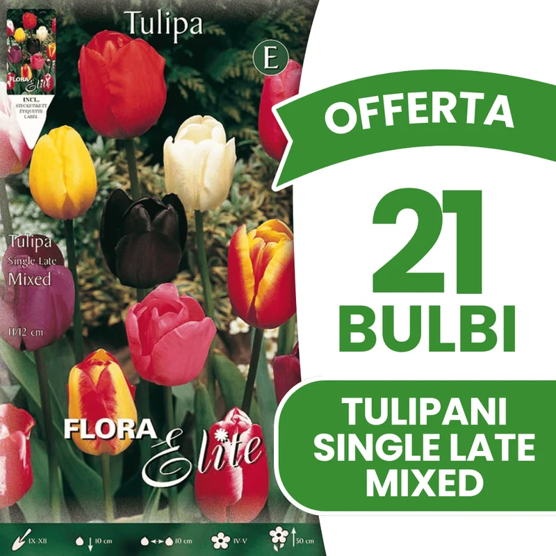 OFFERTA 21 BULBI TULIPANO SINGLE LATE MIX DI COLORI