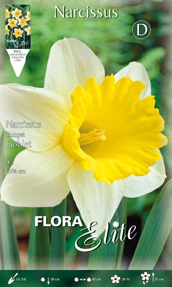 NARCISO TRUMPET GOBLET (CONFEZIONE DA 5 BULBi)