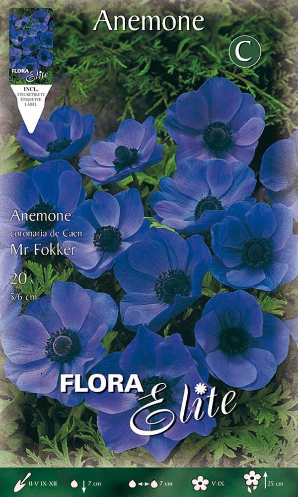 BULBI ANEMONE CORONARIA MR. FOKKER (CONFEZIONE 20 BULBI)